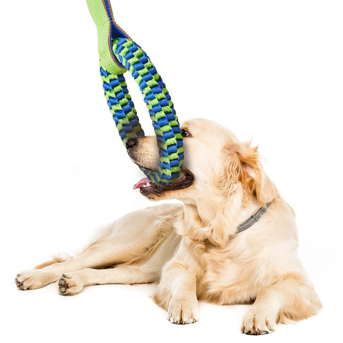 Nylon Webbing Dog Tug Toy with Rope Handle