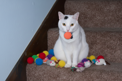 Balls & Mice