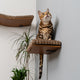 Kitsune Garden Beech Wood Wall-Mounted Cat Step – Brown