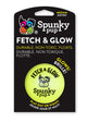 Spunky Pup Fetch & Glow Dog Ball – Medium, 2.5 in, Assorted Colors