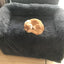 Plush Washable Pet Bed – Gradient Colors