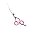 Pet Grooming Scissors Kit with Comb & Storage Case