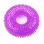 TPR Sound-Making Dog Toy Ball