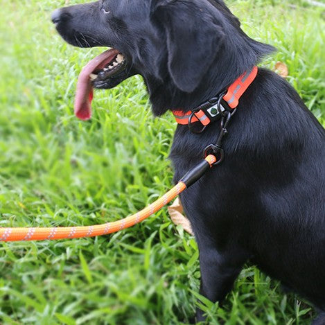 Reflective Striped Dog Harness