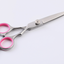Pet Grooming Scissors Kit with Comb & Storage Case