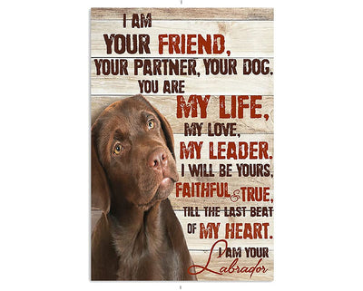 Snowsun Chocolate Labrador Aluminum Wall Sign – 8 × 12 in