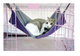 Nylon & Plush Velvet Cat Hammock – 42 × 56 cm
