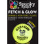 Spunky Pup Fetch & Glow Dog Ball – Medium, 2.5 in, Assorted Colors