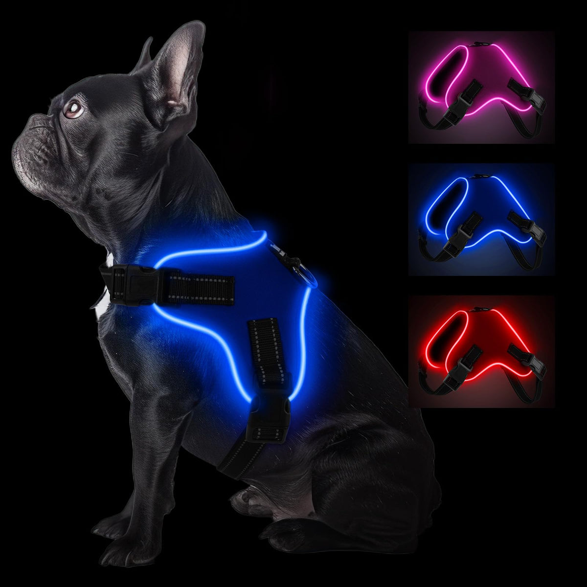 Rechargeable LED Dog Harness with Handle – Blue, XL