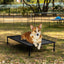 Veehoo Elevated Dog Cot with PVC Fabric – Black, 29 × 18 in