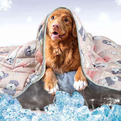 Leekalos Foldable Pet Cooling Mat – Light Gray