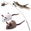 PAZS GIFT Cat Wand Toys 2 Piece Catnip Wiggle Sounding Toys Soft and Durable Interactive Cat Kick Toys for Indoor Play Cats and mice