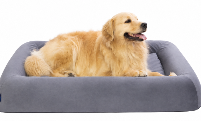 pettycare Egg-Crate Foam Bolster Dog Bed – XL, Gray, 41 × 29 in