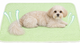 Mora Pets Cool-Touch Pet Mat – Light Green, 28 × 22 in