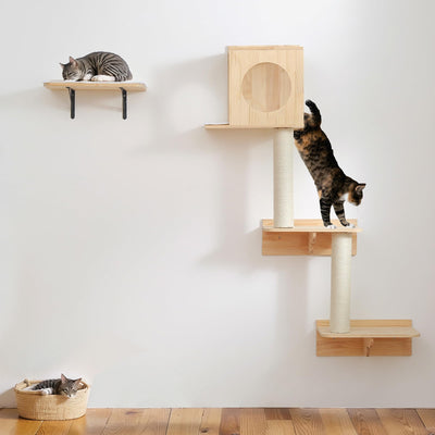 Cat Condo & Shelves For Wall Mounting