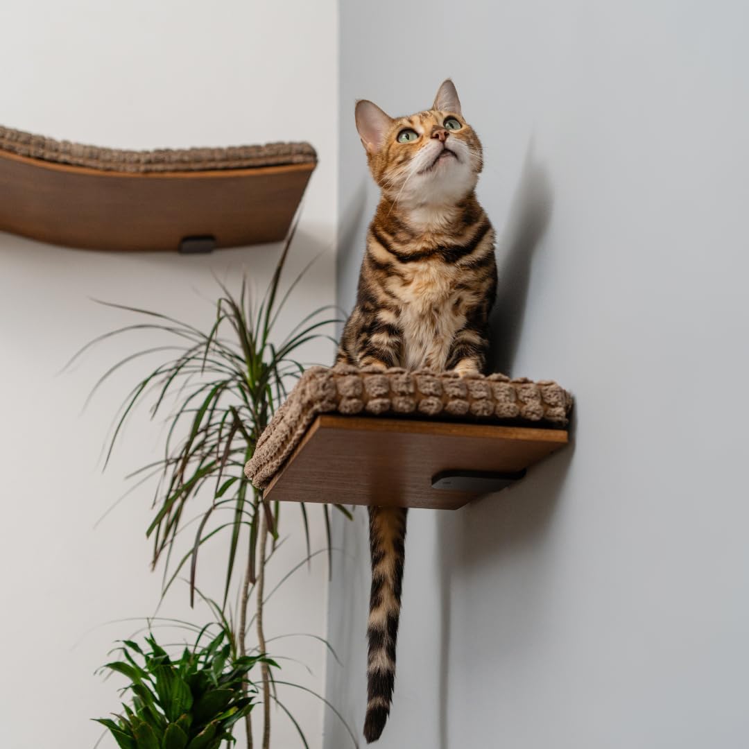 Kitsune Garden Beech Wood Wall-Mounted Cat Step – Brown