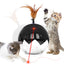 Ficuswin Rechargeable Cat Laser & Feather Ball Toy