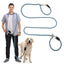 pawstrip Adjustable Nylon Hands-Free Dog Leash – Blue