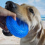 TPR Sound-Making Dog Toy Ball