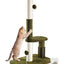 Happi N Pets Sisal Cat Scratching Post with Grooming Brush – 34 in, Green